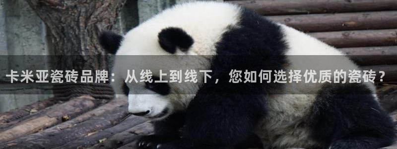 万事娱乐公司简介图片：卡米亚瓷砖品牌：从线上到线下，您如何选择优质的瓷砖？