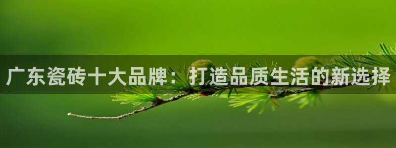 万事娱乐招商信息：广东瓷砖十大品牌：打造品质生活的新选择