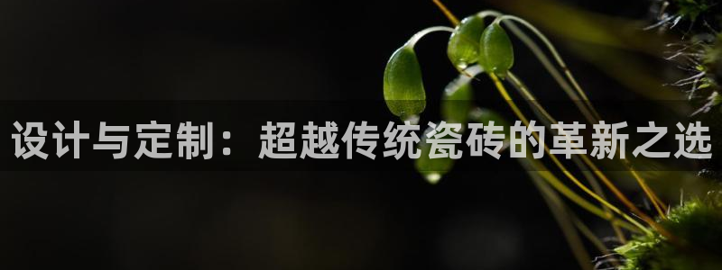 万事通娱乐官网