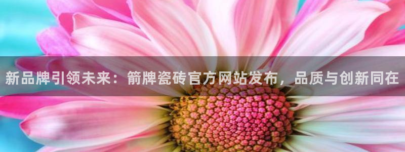 万事达娱乐 直 招