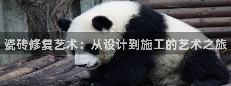 万事娱乐主管薪资多少